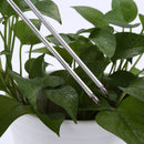 Soil Moisturizer and pH Level Tester Sunlight Hydroponics Analyzer M