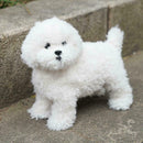 Realistic White Teddy Dog Simulation Dog Puppy Lifelike Handmade Stuffed H9V0