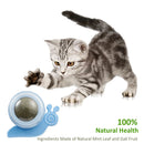 Cat Catnip Rotating Ball Cleaning Teeth Molar Interactive Pet Toys (Blue)