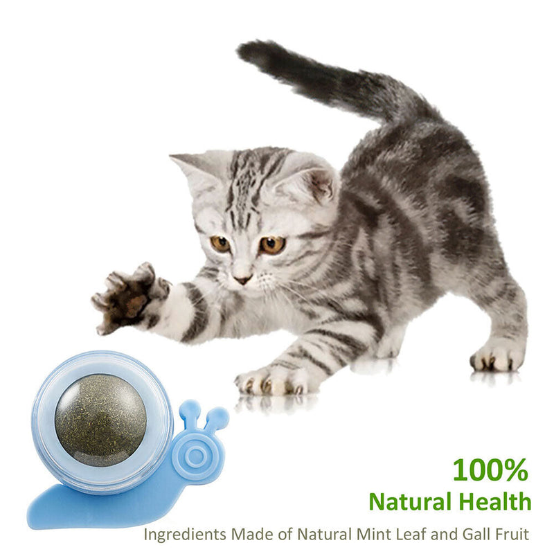 Cat Catnip Rotating Ball Cleaning Teeth Molar Interactive Pet Toys (Blue)