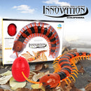 Remote Control Centipede Cat Interactive Toys with Egg Toys (Intermediate)