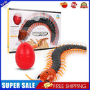 Remote Control Centipede Cat Interactive Toys with Egg Funny Toys (Black)