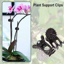 Plant Support Clips Orchid Stem Clip For Vine Support Clamping Branch S2P5 S1X2