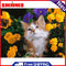 DIY Digital Painting By Numbers Cat Flower Frameless Canvas Picture Modern Art