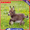 5D DIY Diamond Painting Embroidery Donkey Full Round Drill Rhinestones Crafts