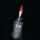 2pcs Lifelike Fishing Lures Tackle 7cm 4g Luminous Artificial Wood Shrimp Bait