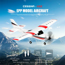 Wltoys F949S RC Drone Plane 2.4GHz 3CH Fixed Wing Aircraft with 2 Battery Newly