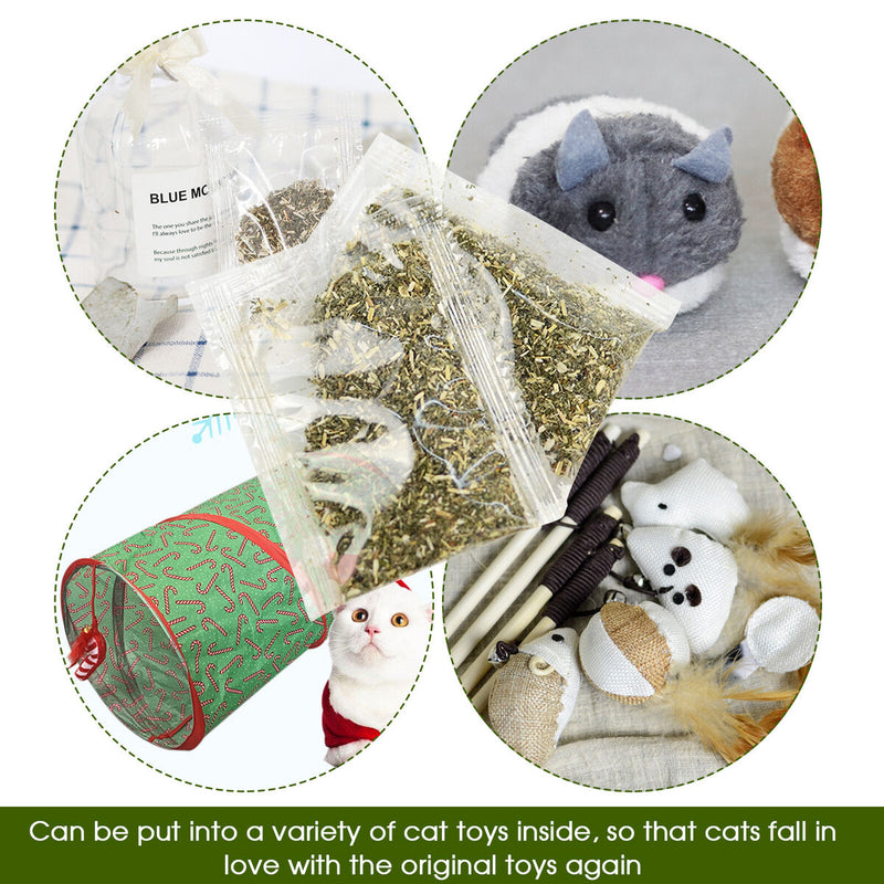 2g Catnip Bag for Cats, PE Bag Package, Replacement Catnip Herb for Catmint