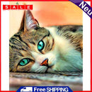 40x50cm Colorful DIY Paint By Numbers Kit Green Eyed Cat Animals Decor Gift Art
