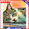 40x50cm Colorful DIY Paint By Numbers Kit Green Eyed Cat Animals Decor Gift Art