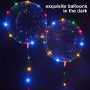 LED Luminous Transparent Bobo Balloon Bouquet Rose Ball Valentine's Day Decor U.
