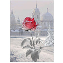 Rose 5D Diamond DIY Painting  Kit Home Decor Craft 30 X 40cm