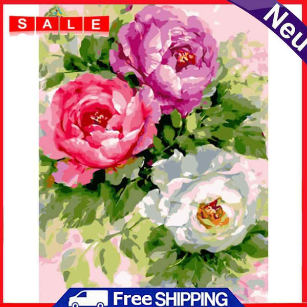 16x20 inch Oil Painting By Numbers Three Flowers DIY Canvas Drawing Set No Frame