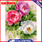 16x20 inch Oil Painting By Numbers Three Flowers DIY Canvas Drawing Set No Frame
