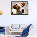 5D DIY Diamond Painting Kits Grey White Dog Full Round Drill Home Decoration Set