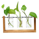 Ornaments Hydroponic Plant Vase Plant Flower Pot Glass Vase Flower Arrangement