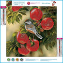 5D Square Diamond DIY Diamond Painting Fruit Bird Embroidery Cross Stitch Newly