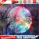 Painting By Numbers Kit DIY Color Moon Hand Painted Canvas Oil Art Picture
