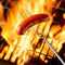 5x Outdoor BBQ Forks Stainless Steel Telescopic Camping Barbecue Sticks