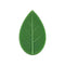 20PC x Plant Fixture Clip Plant Climbing Wall Self-Adhesive Q3R1 A1X2 F3I1