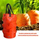 Plant Grow Bag 3 Gallons Strawberry Tomato Gardens Planting Pouch (Orange) Newly