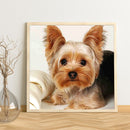 5D DIYDog Full Square Drill Mosaic Diamond Painting Animal Picture Rhinestone
