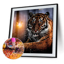 5D DIY Full Round Drill Diamond Painting Novelty Tiger Cross Stitch (B1105)