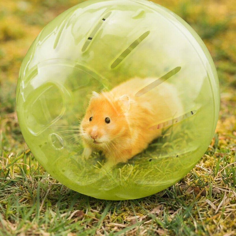 Solid Rodent Jogging Ball Gerbil Hamster Fitness Portable Rolling Ball Play T
