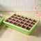 Seedling Starter Tray, Germination Pot Tray Kit for Seedling, Seed Growing Newly