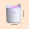 Diffuser With UV Light Air Humidifier Double Nozzle Aromatherapy Mist Maker