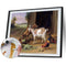 Goat Rooster Oil Paint By Numbers Kit DIY Acrylic Painting on Canvas (B1475)