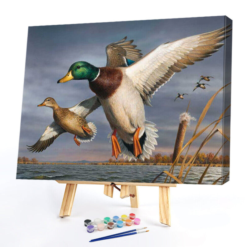 Wild Duck on Lake Oil Paint By Numbers Kit DIY Acrylic Painting on Canvas D