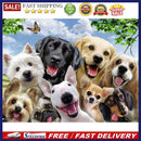 Animals 5D DIY Full Drill Diamond Painting Cross Stitch Mosaic Craft Kits Dec
