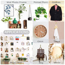 Picture Hangers 100 Pieces Professional Picture Hanging Kit with Nails (Gol
