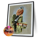Handmade DIY Full Round Drill Diamond Painting 5D bird on stake