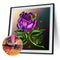 5D DIY Full Drill Diamond Painting Flowers Animal Cross Stitch Kit (JH072)