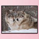 Full Embroidery Snow Wolf 3-Beach 11CT Printed Cross Stitch Cotton DIY Kit