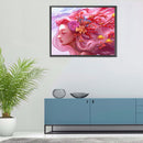 Coral Girl Oil Paint By Numbers Kits Canvas Picture Wall Art DIY Craft Gift