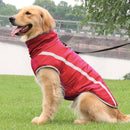 Pet Winter Jacket Vest with Zipper 3 Size Labrador Bulldog Household Pet Ou