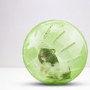 Pet Mini Jogging Ball Hamster Exercise Plastic Clear Trot Ball Toys (Green)