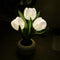 #A LED Flower Night Light Simulation Tulip Flowerpot Potted Plant Atmosphere Lam