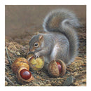 5D DIY Full Drill Diamond Painting Squirrel Cross Stitch Embroidery Kit Newly