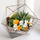 7 Pcs Mini Garden Ornaments Easter Bunny Decoration for Home Garden Yard Office
