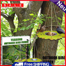 Outdoor Bird Food Dispenser, Stainless Steel Plate, Hanging, For Cooking