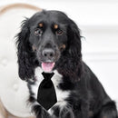 Cat Dog Collar Bow Tie Cotton Pet Formal Necktie for Wedding (Black S)