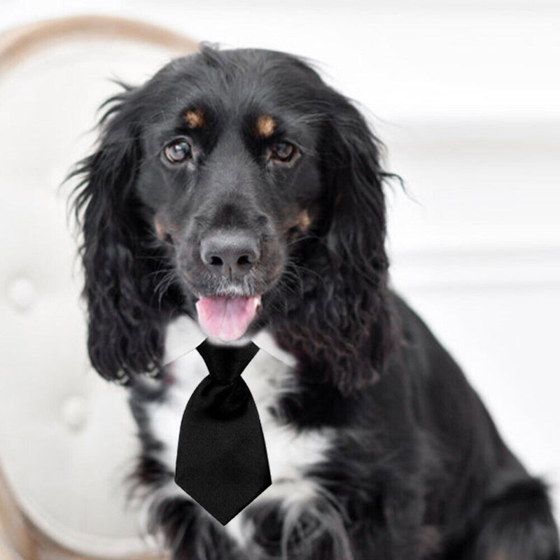 Cat Dog Collar Bow Tie Cotton Pet Formal Necktie for Wedding (Black S)