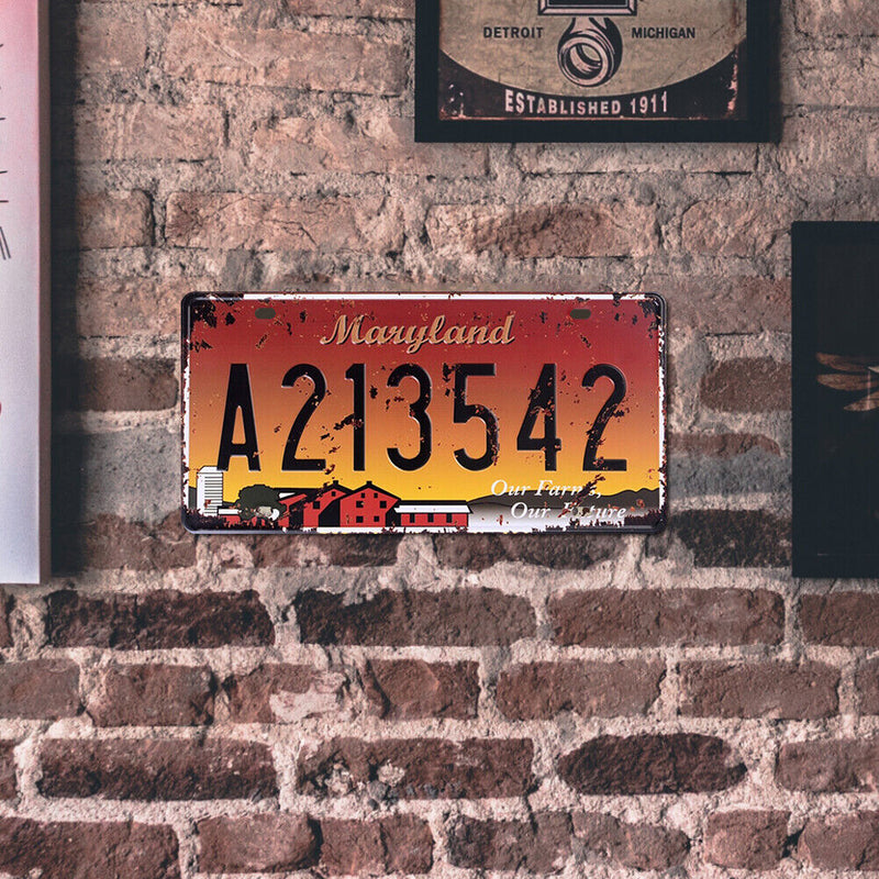 License Plate A213542 Retro Metal Tin Sign Plaque Poster Wall Art Decor (1)