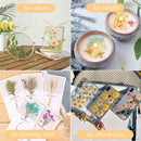 DIY Preserved Flower Scented Candle Material Suitable for Soap Making Nail Ar