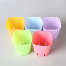 Boxplanter Succulent Plastic Flower Pot Planter Tool Plant  Trays Mini Basin
