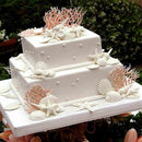 Accessories Pastry Tool Silicone Mold Baking Mould Cake Decorating Conch Shells